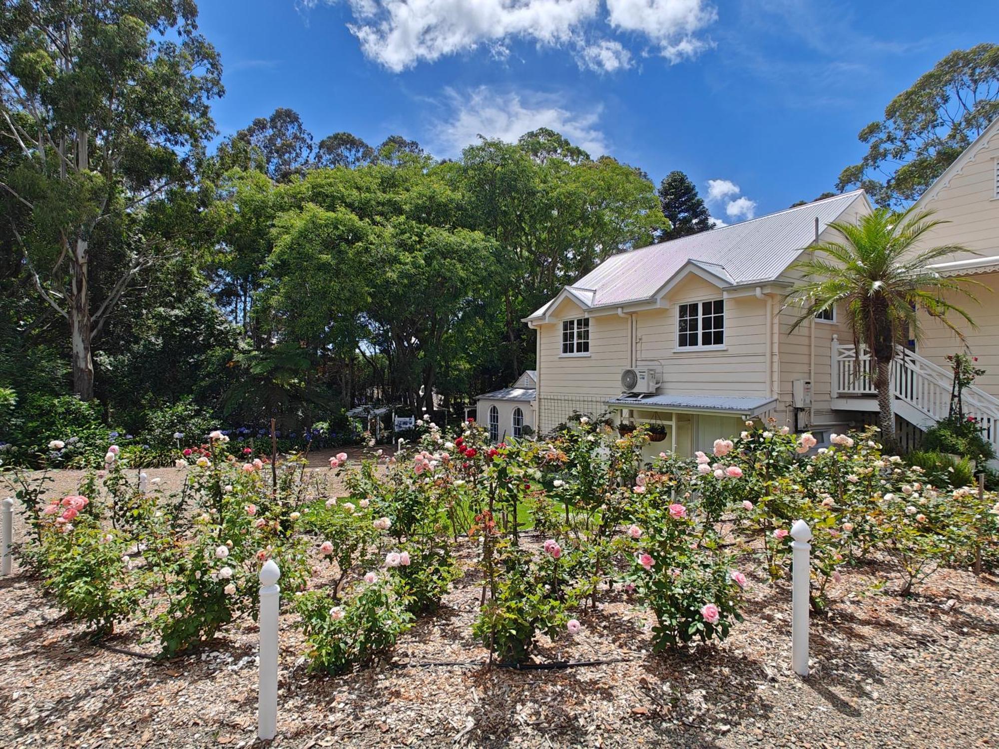 Wintergreen Manor At Maleny Exterior foto